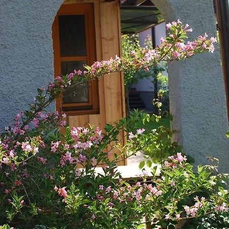 Wolkenreich Apartment Oberhaag