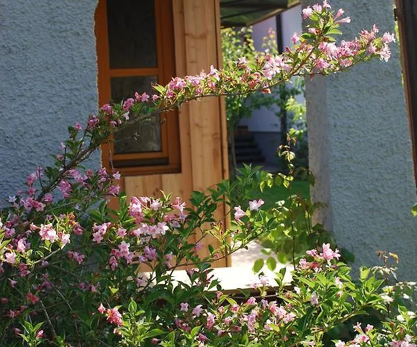 Wolkenreich Lägenhet Oberhaag